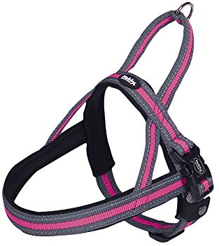 'Nobby 80612 – 15 Noruego Vajilla variado Cuello bandas geschirre