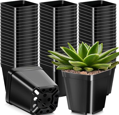 KAHEIGN 50Pcs Square Plant Pots, 10CM Thick Plastic Flower Pots Succulent Planter Nursery Pots with Drainage Holes for Small Potted Plants (Black)