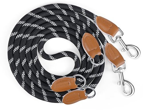 PETCOOZ Hundeleine 3 M Verstellbare Schleppleine für Mittel- & Großhunde(15-60kg), Reflektierende Freihandleine mit 2 Karabiner, Doppelleine aus Robustem Nylon, 200 kg Extreme Kraft