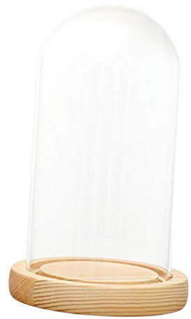 SM SunniMix Cúpula de Campana de Cristal con Base Luz Florero Hogar Boda Decoración, B 10x12cm