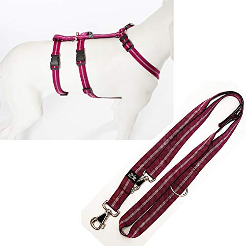 No Exit ausbruchsicheres Hundegeschirr für Angsthund, Sicherheitsgeschirr für Pflegehund, Panikgeschirr, pflaume Streifen, Bauchumfang 50-65 cm, 20 mm Bandbreite, mit passender Führleine