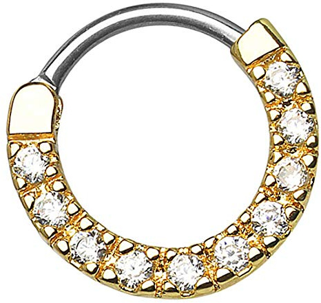 Taffstyle Segment Piercing mit Scharnier Chirurgenstahl mit Kristall für Septum Tragus Helix Nase Lippe Ohr Intim