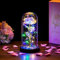 Beauty Beast Rose Gifts Women, Eternal Fake Roses Wedding Anniversary Valentines Gift for Her Nan Birthday Everlasting Artificial Forever Galaxy Flower Lights in Glass Dome for Christmas Nana Mam