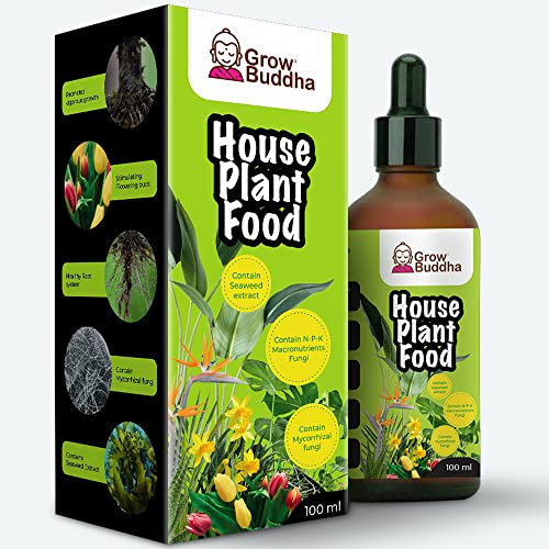 Houseplant Food Fertiliser– Liquid Concentrated Fertiliser for Healthy Houseplants 100 ml – Vigorous growth with strong root – Suitable for all kinds of indoor and outdoor Houseplant