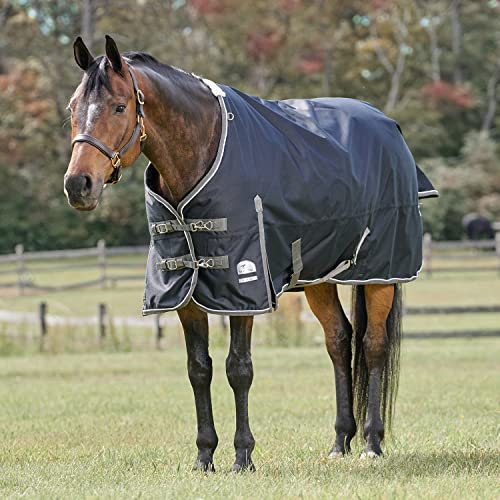 SmartPak Deluxe-Pferdedecke mit umweltfreundlichem Stoff, 75-Lite (0 g), Führmaschinendecke mit Verschluss, Schwarz mit grauem Rand und weißer Paspelierung