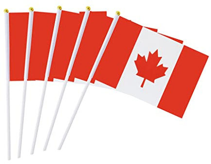 Wedhapy 50 Pièces Drapeau Canadien Drapeau du Canada Drapeau De La Fête du Canada Drapeau Bâton du Canada Petit Drapeau à Main Mini Drapeau National Canadien 14x21 Cm
