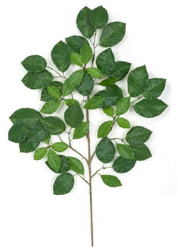 SilksAreForever 24 Artificial Common Beech Branch Stem -Green (Pack of 12)