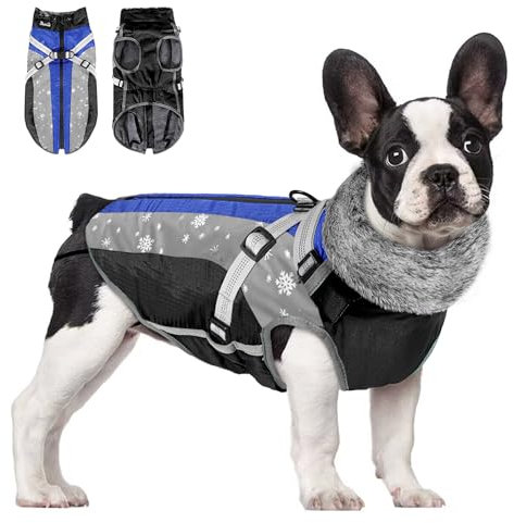 Eyein Hundemantel Winter, Wasserdichter Fleece Hundejacke mit Geschirr für kleine, mittlere und große Hunde, reflektierende Winddichter Welpenweste für Spaziergänge im Freien (Blau, L)