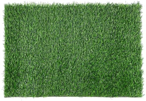 INOOMP Kunstrasenmatte 60x40cm – Realistischer Künstlicher Rasen als Fußmatte für Außen & Innen – Wetterfeste Schmutzfangmatte für Haustür, Balkon, Garten & Hunde