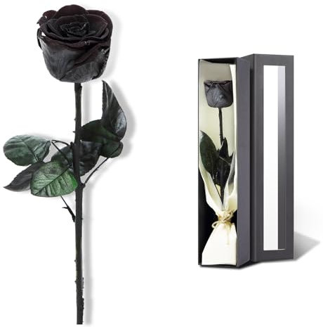 Einzelne Rose mit langem Stiel, Valentinstag, Geburtstagsgeschenke für Frauen – konservierte Blumen, Geschenke für Freundin, Ehefrau, Mutter zum Jahrestag, (schwarz)