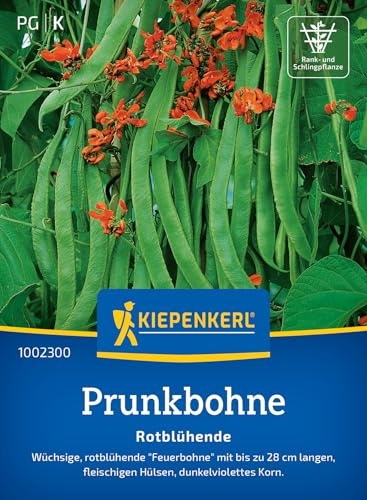 Kiepenkerl Prunkbohnensamen Rotblühende 1002300, Gemüsesaat | Gemüsesamen für wüchsige 'Feuerbohnen' mit bis zu 28 cm langen Hülsen, Inhalt für 6-8 laufende Meter