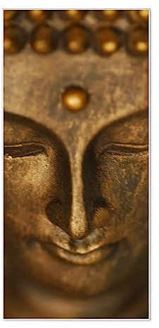 banjado® Magnettafel 37 x 78cm / Magnetwand aus Metall/Magnetpinnwand als Memoboard/Pinnwand Magnettafel Küche, Büro, Kinderzimmer inkl. 4 Magnete & Montageset - Motiv Buddha Gold