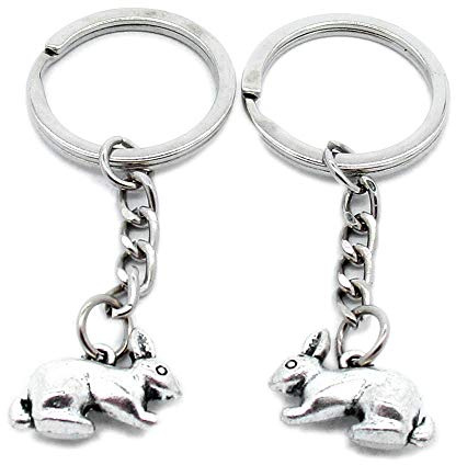 Llavero de plata envejecida AA4617 con diseño de conejo, liebre y Pascua Antique Silver