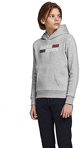 Jack & Jones Jungen Jjecorp Logo Sweat Hood Noos Jr Sweatshirt