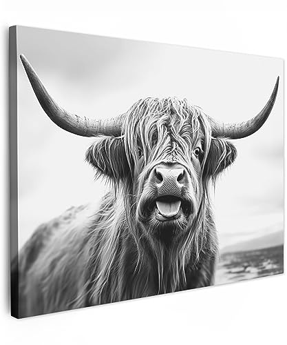 MuchoWow© Bild auf Leinwand Schlafzimmer Bilder Wand Deko Wohnzimmer Modern | 80x60 cm - Wanddeko Bilderwand Geschenk Schottisches Hochlandrind - Kuh - Schwarz und weiß - Hörner - Fell - Zunge