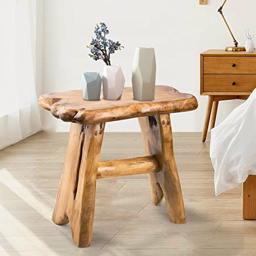 HOEGMST Holz-Tritthocker, Holzbock, einzigartiges Design, Live-Edge-Holzhocker, Freeform, natürlicher Pflanzenständer für Garten, Hof, Wohnzimmer, Schlafzimmer