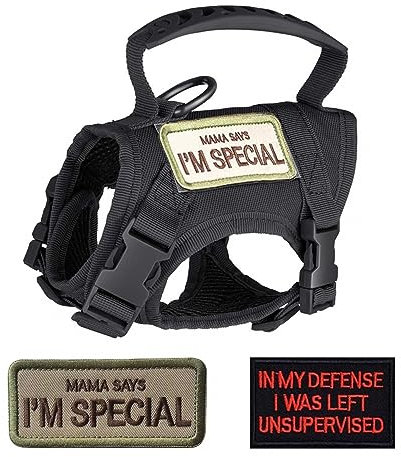 Katzengeschirr Leine,Taktisches Haustier Gehgeschirr Ausbruchsicher Atmungsaktiv Katzenwestengeschirre mit Buchstabenaufklebern für Katzen Hunde