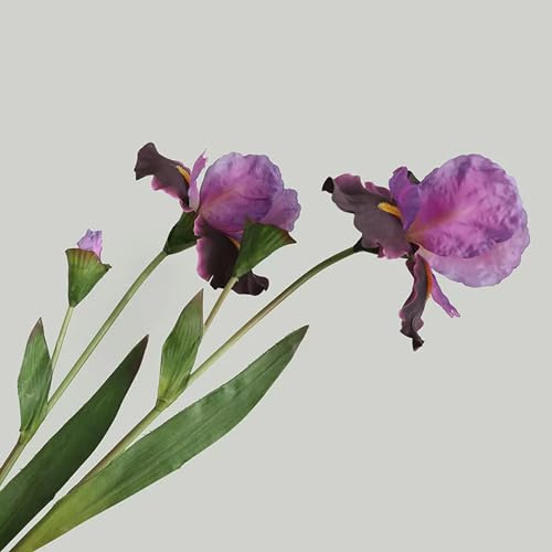 TVIVID Fiori irlandesi in seta da 76 cm, Alice Iris, decorazione per la casa, decorazione per feste di nozze, fai da te, fiori finti bianchi, orchidea farfalla artificiale