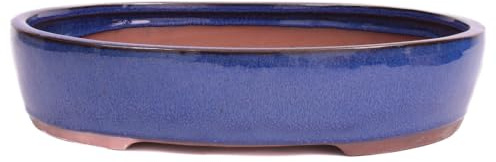 generisch Bonsai - Schale oval 32 x 26 x 7 cm blau 40138
