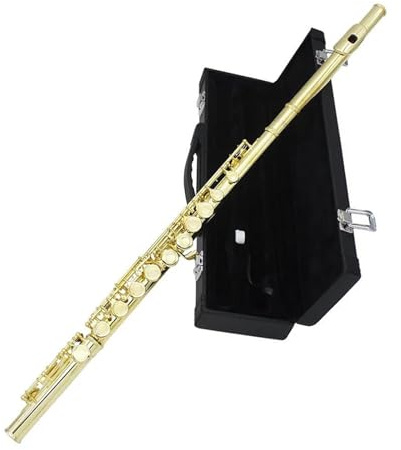 Flöte Für Anfänger 16 Löcher Fügen Die E-Tasten-Flöte Hinzu Messing-Gold-Flöteninstrument Mit Leder-Box-Etui-Zubehör