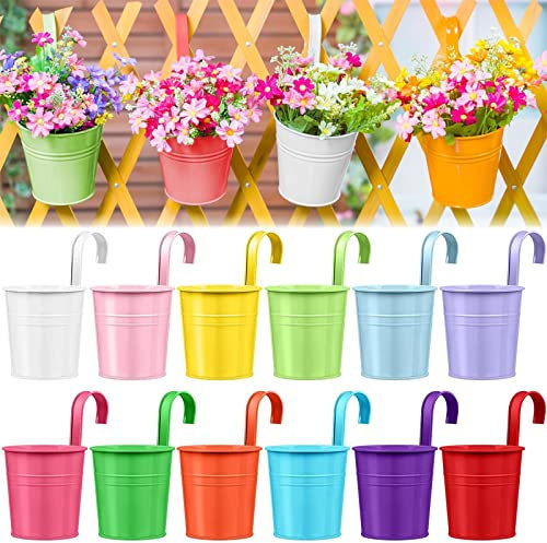ZPYXBH Blumentöpfe Zum Aufhängen, Bunt Blumentopf Hängend Aus Metall, Eisen Hängeblumentöpfe Für Balkon Zaun Garten Blumenampel Pflanzen Halter Mit Abnehmbarem Haken Ablaufloch, 12Er-Set