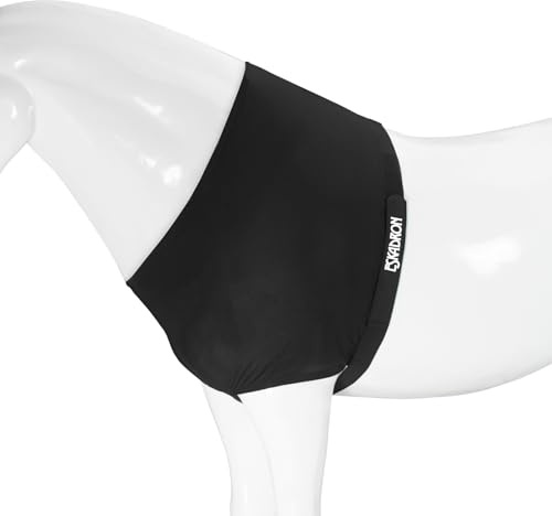BASIC Brustschutz BRUSTSCHUTZ