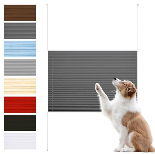 Plissee Ohne Bohren Verdunkelung 70 x 210 cm Sonnenschutz, Lichtdurchlässig Raffrollo Ohne Bohren Inkl. Aller Montage-Teile für Fenster Und Tür, Dunkelgrau