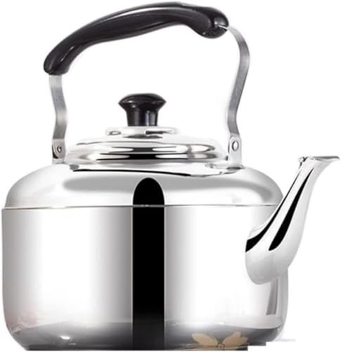 Tekanna med infusionsapparat Vattenkokare Te Vatten Spis Visslingskamin Tekanna i rostfritt stål till kokande kastruller Gas Kaffe Induktion Camping Tekanna-5L/1002(9L)