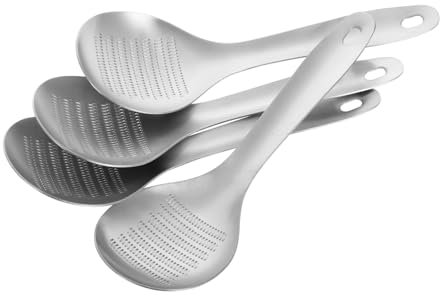 Cabilock 4pièces Lot De Râpes Forme De Cuillère Pour Ail Gingembre Fruits Et Légumes Ustensile De Cuisine Acier Inoxydable