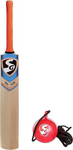 SG Cricket Praxis Combo – RSD Plus Kaschmir Weide Cricketschläger, kurzer Griff + i-ball Aufhängen Praxis Ball Cricket-Kit