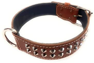 M&D Hundehalsband, Leder, mit Nieten, für Hunde wie Staffordshire Bull Terrier, Englische Bulldoggen, Pit Bull und viele mehr, 3,8 cm breit, Braun