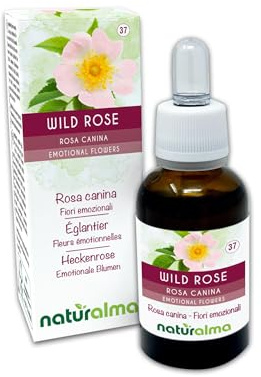Wild rose o Rosa canina (Rosa canina) Fiori emozionali o Fiori di Bach Naturalma - Gocce 30 ml - Estratto liquido analcoolico - Essenze floreali - Vegano e Senza alcol