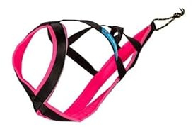 Universal-Hundegeschirr Inlandsis Polar Quest X-Back – Leicht, Ergonomisch und Robust – Canicross, Cani-MTB, Spaziergang und Wandern (Hund >15kg)
