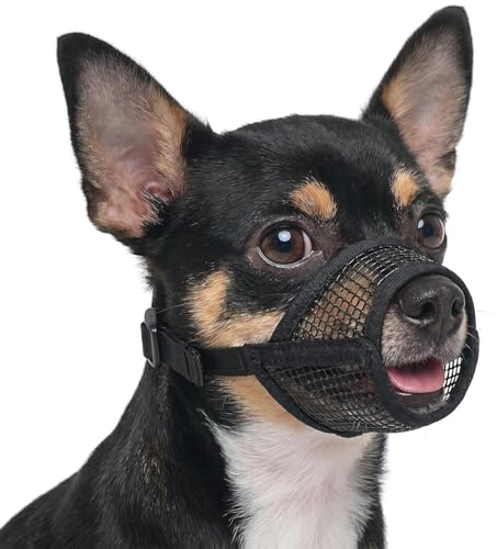 Maulkorb für Hunde, atmungsaktiv & bequem, maulkorb kleine Hunde für Chihuahuas Biss verhindern Muzzle Haustiermaske Geeignet für kleine Hunde mit einem Schnauzenumfang von 12-15 cm