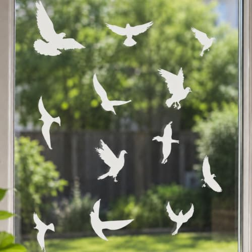 Androxeda 6 Piezas Pegatinas De Ventana Para Evitar Colisiones De Pájaros, Pegatinas Transparentes De PVC, Adhesivos De Seguridad Para Aves, Para Casa, Oficina Y Jardín