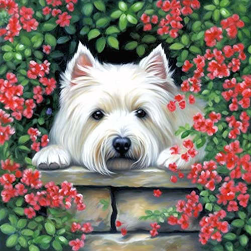 VAIIEYO 5D DIY Diamond Painting Hund, Diamantmålning Kit Djur, Strass Broderi Korsstygn Kit Tillbehör Konst Hantverk Kanvas Väggdekor Klistermärken Heminredning 30 x 40 cm-108
