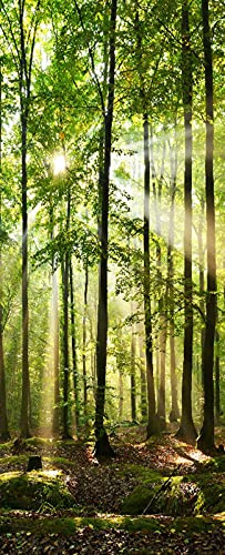 A.Monamour Türtapete Selbstklebend Türfolie Türposter 3D Sonnenaufgang In Der Grünen Wald Naturlandschaft Vinyl Folie Türdeko Tapete Wandbild Türaufkleber Türtattoo 90 x 200 cm