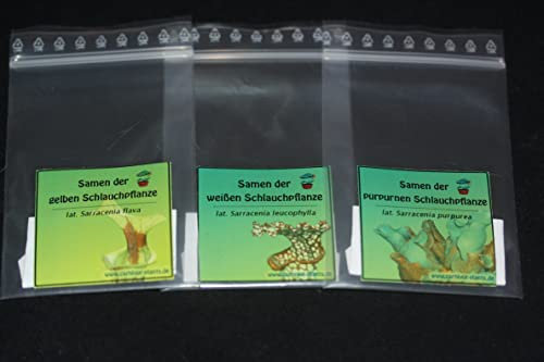 Fleischfressende Pflanzen 3 x 50 Sarracenia Samenset - Schlauchpflanze (0,07€/Samen)