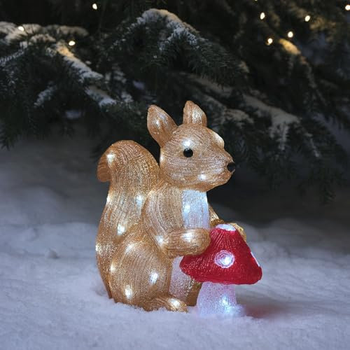 Lights4fun Scoiattolo e Fungo Velenoso Luminoso a Pile da 32 cm con 40 LED Bianco e Timer Figura di Natale in Acrilico Decorazione Natalizia per Interni ed Esterni
