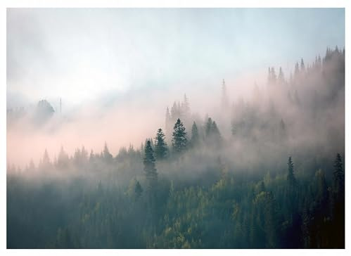 WallArena Vlies Fototapete, Wald, 400x280cm | Fototapeten - Tapeten - für Wohnzimmer Schlafzimmer - Vliestapete Wandtapete Tapete 3D Effekt- inkl. Kleister