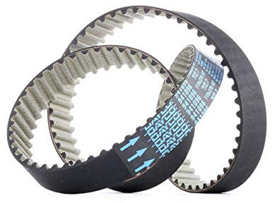 Dayco 941096 Courroie Distribution