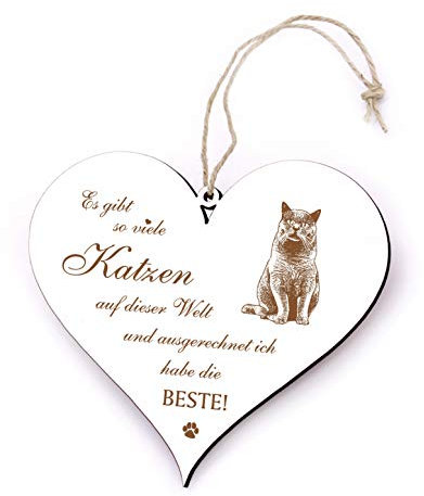 Schild Herz Spruch - Es gibt so viele Katzen & ich habe die Beste ! Britisch Kurzhaar - Türschild 13x12cm