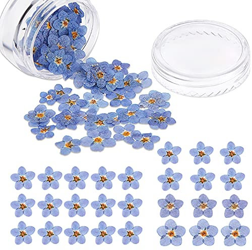Nuanchu Natural Forget-me-not Dried Flowers Don't Forget Me Dried Real Pressed Flowers for Jewelry Candle Card Making DIY Resin Ornaments Nail Art Decorations(50 Pieces)