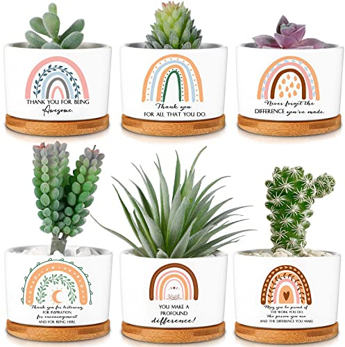 Sieral 6 Pcs Thank You Employee Appreciation Gift Succulent Pots Social Worker Gift Ceramic Plant Pot with Bamboo Tray Succulent Planter for Coworker Teacher, Plants Excluded (Boho Style)
