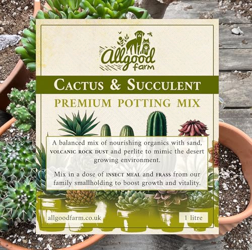 Allgood Farm Cactus Soil - Expert Cactus & Succulent Potting Soil Mix for Cacti, Haworthia, Euphorbia, Echeveria, Agave (1 Litre)