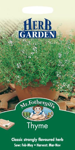 Mr Fothergill's 13982 Herb Seeds, Thyme, Green