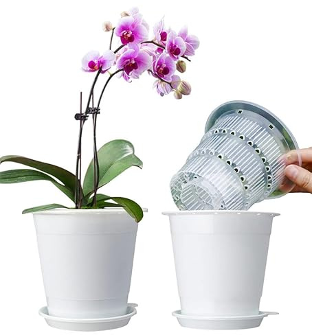 Meshpot 4 Inches Clear Plastic Orchid Planter with Holes - Succulent and Cactus Pot Set with 2 Inner, 2 Outer, and Saucer