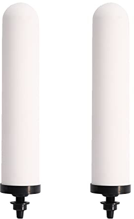 HUINING Filtre à eau dôme en céramique, filtre de remplacement pour unité de préfiltration de l'eau de rechange 0,15 à 0,5 micron pour système de filtration d'eau domestique. (10 inch)