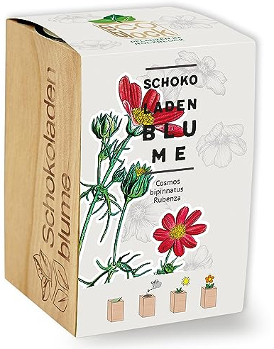 Feel Green ecoblock Schokoladenblume, Nachhaltige Geschenkidee (100% Eco Friendly), Grow Your Own/Anzuchtset, Pflanzen im Holzblock, Made in Austria