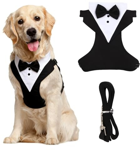 Formell stor hundkostym, storlek XL (10–23 kg), svart andningsbar skjorta med fluga och väst, avtagbart koppel, eleganta kläder för bröllop och födelsedagar